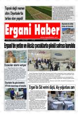 ERGANİ HABER