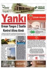 YANKI