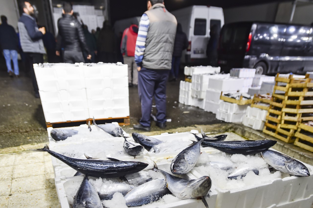 BU AY EN ÇOK PALAMUT, KAVUN VE DOMATES TÜKETİLDİ