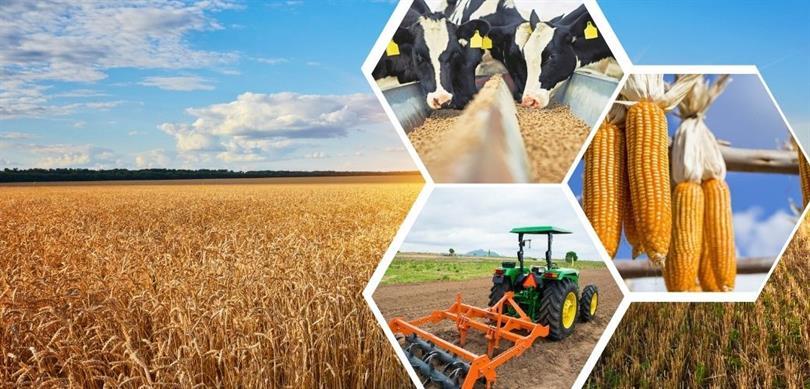 5,5 MİLYAR LİRALIK DESTEKLEME ÖDEMESİ HESAPLARA AKTARILDI