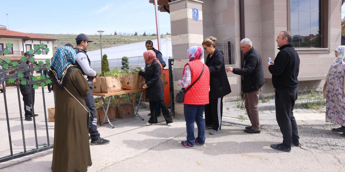 GÖLBAŞI BELEDİYESİ VATANDAŞLARA ATA TOHUMU FİDESİ DAĞITIYOR