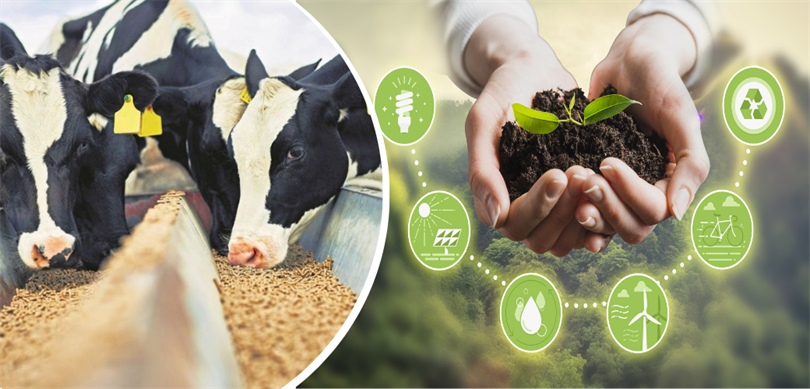 430 MİLYON 589 BİN LİRALIK DESTEKLEME ÖDEMESİ YAPILDI