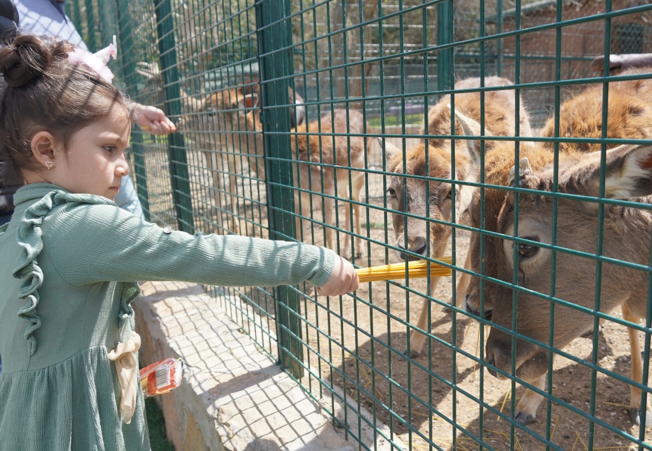 DOĞAL YAŞAMA BAHAR GELDİ