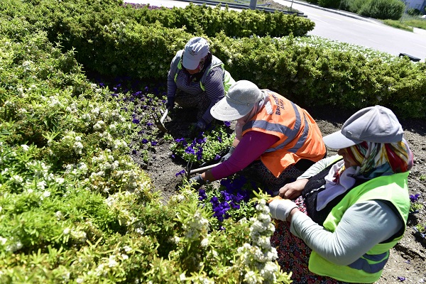 BAŞKENTLİ KADINLARIN YETİŞTİRDİĞİ MEVSİMLİK ÇİÇEKLER BAŞKENTİ SÜSLÜYOR