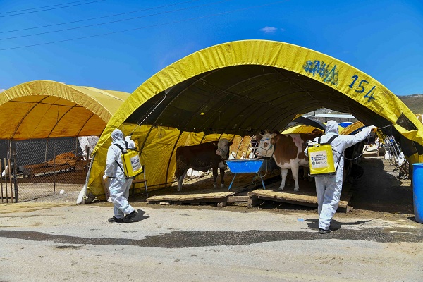 ABB’DEN KURBAN SATIŞ VE KESİM ALANLARINDA İLAÇLAMA SEFERBERLİĞİ