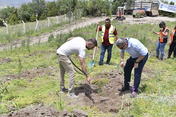 DÜNYA ÇÖLLEŞME VE KURAKLIKLA MÜCADELE GÜNÜ’NDE BİN FİDAN TOPRAKLA BULUŞTU