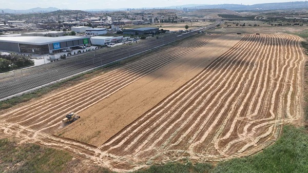 ANKARA BÜYÜKŞEHİR ATATÜRK’ÜN MİRASINA SAHİP ÇIKIYOR: HASAT BAŞLADI