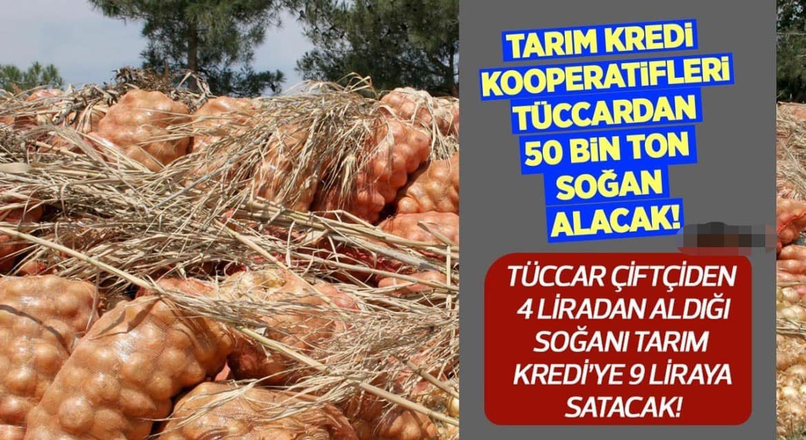 TARIM KREDİ HOLDİNG. A.Ş. POLATLI’DAN 50 BİN TON SOĞAN ALACAK!